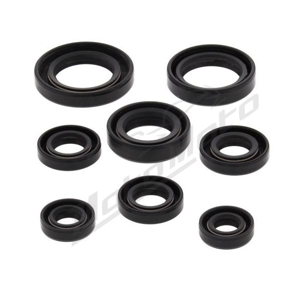 Winderosa (vertex) set of engine seals Honda TRX 200 90-97