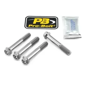 PRO BOLT Titanium Brake Caliper Mount Kit BMW R / S 1000-1250cc 10-24