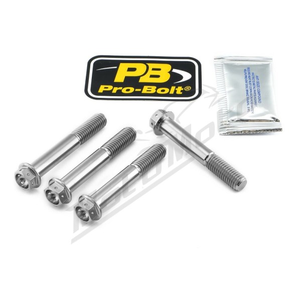 PRO BOLT Titanium Brake Caliper Mount Kit BMW R / S 1000-1250cc 10-24