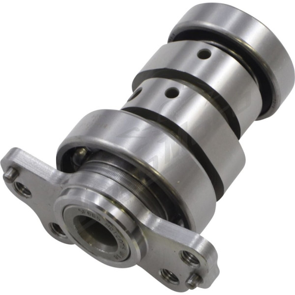 HOT CAMS Išmetimo paskirstymo velenas Yamaha YFM 700cc 06-08
