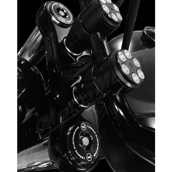 LEGEND SUSPENSION AXEO Front Suspension System Harley Davidson FXD / FXDB / FXDL / FXDI / FXDSE 1450/1800 06-17 