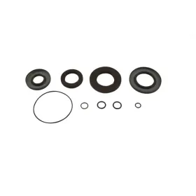 ALL BALLS Front differential seals Polaris Ranger 1000 18-19