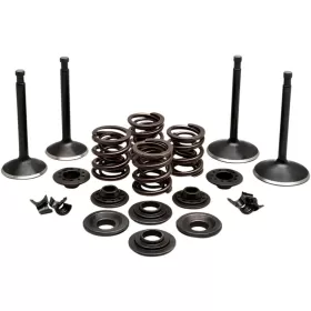 KIBBLEWHITE Engine Valve Kit Harley Davidson XLCH / XLH / XLS / XLT / XLX 900-1000 70-83