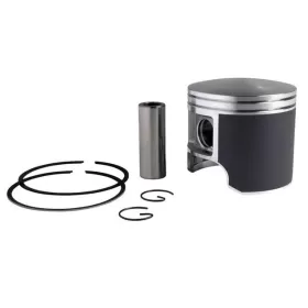 PARTS UNLIMITED Piston Kit Polaris Edge / Pro X / Frontier / XC / RMK / Switchback 120/900 00-05
