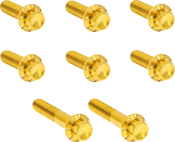 Arlen Ness Set Of Bolts For The Transmission Side Cover Harley Davidson FLHR / FLHRC 1584-1868cc 07-17