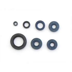 Athena Engine gasket set BMW / Bombardier 650 93-08