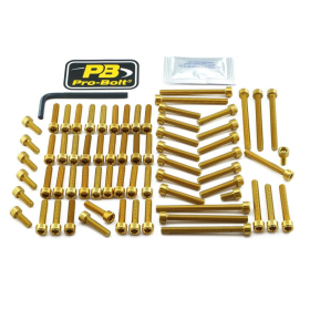 PRO BOLT Aluminium Engine Bolt Kit For Yamaha MT-01 1700cc 05-09