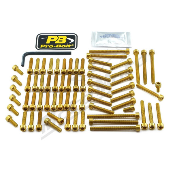 PRO BOLT Aluminium Engine Bolt Kit For Yamaha MT-01 1700cc 05-09