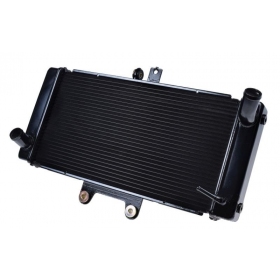 Radiator SUZUKI GSF650 Bandit