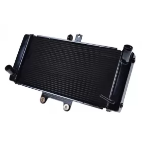 Radiator SUZUKI GSF650 Bandit