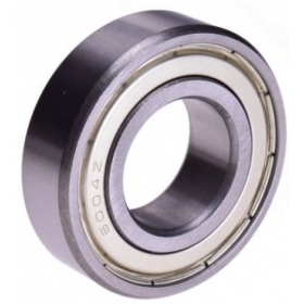 Bearing (closed type) MAXTUNED 6004 ZZ 20x42x12