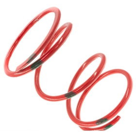 Team Spring Secundary Venom Ski Doo 120-220 Red / green