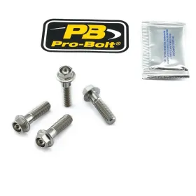 PRO BOLT Stabdžių suporto tvirtinimo varžtų rinkinys Honda / Kawasaki / Trimph 600-1400cc 99-24