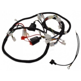 Wiring harness LONGJIA LJ50QT-3L 50cc