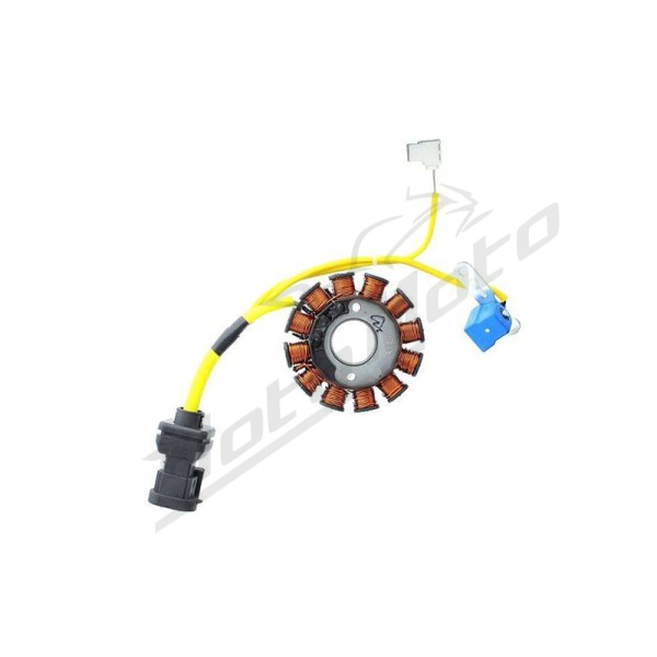 ELECTROSPORT Stator ESG194 Aprilia / Gilera / Malaguti / Piaggio / Vespa 125/200 95-16