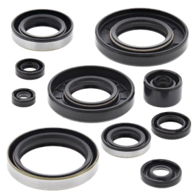Winderosa (vertex) set (set) of engine seals Kawasaki KX / KDX 250 90-94