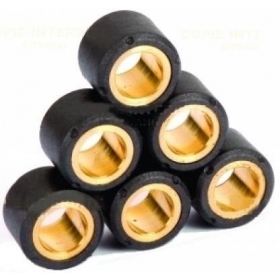 20x12 Variator weight set RMS 6pcs