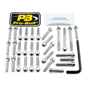 PRO BOLT Stainless Steel Engine Bolt Kit For Kawasaki Z 900cc 17-24