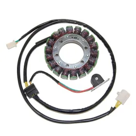ELECTROSPORT Generatorius Suzuki LS 650 P Savage 96-02
