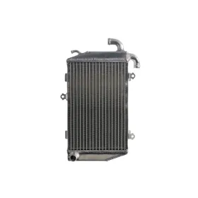 4Ride Radiator HONDA GL 1800 2006-2017