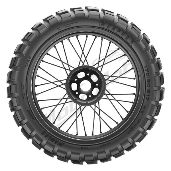 ANLAS Capra X Tire 59Q TL M+S 110/80 R19