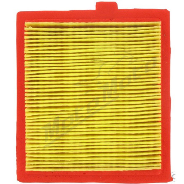 Eurogarden Air filter Stiga SV40 / SV150 / RM4 / RV45 / Castelgarden