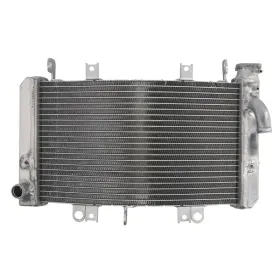 4Ride Engine radiator Suzuki GSX 1300-1340 08-19
