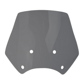 Front tinted glass 25cm QJ Motor SRV 125-300