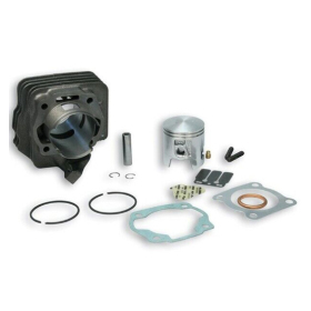 Cylinder MALOSSI Sport cast iron Ø47 Pin Ø10 Honda Vision / Kymco / Peugeot Rapido 50 85-00 AIR 2T