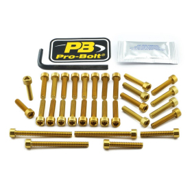 PRO BOLT Aluminium Engine Bolt Kit For Kawasaki Kawasaki Z 900cc 17-24
