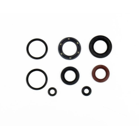 ATHENA Engine simmerings' sets SYM Citycom / Joymax 300 08-18
