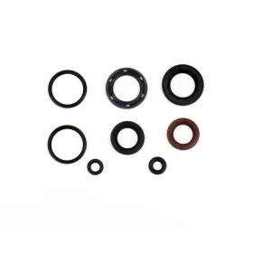 ATHENA Engine simmerings' sets SYM Citycom / Joymax 300 08-18