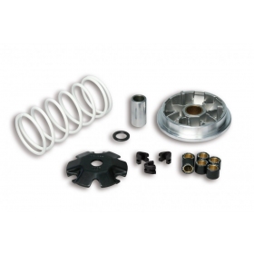 Variator kit MALOSSI Multivar PEUGEOT SPEEDFIGHT 3-4 / SYM  50cc 4T