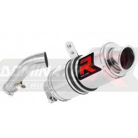 Exhaust silincer Dominator GP 1 BMW R1200R 2006-2009