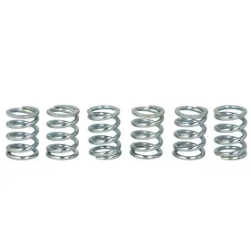 TRW Clutch springs set Suzuki GSX 1300 99-07