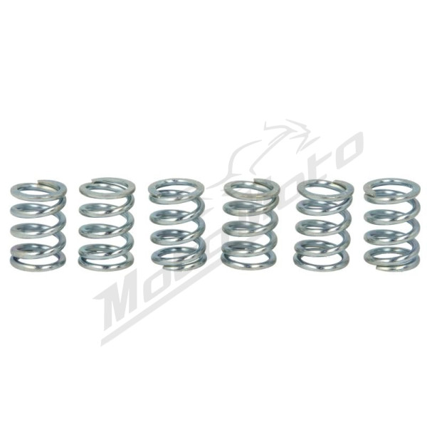TRW Clutch springs set Suzuki GSX 1300 99-07