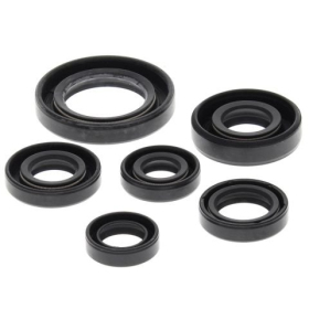 Winderosa (vertex) set of engine seals Honda TRX 300 93-09
