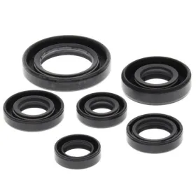 Winderosa (vertex) set of engine seals Honda TRX 300 93-09