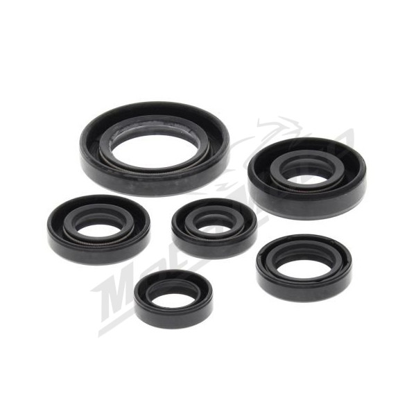 Winderosa (vertex) set of engine seals Honda TRX 300 93-09