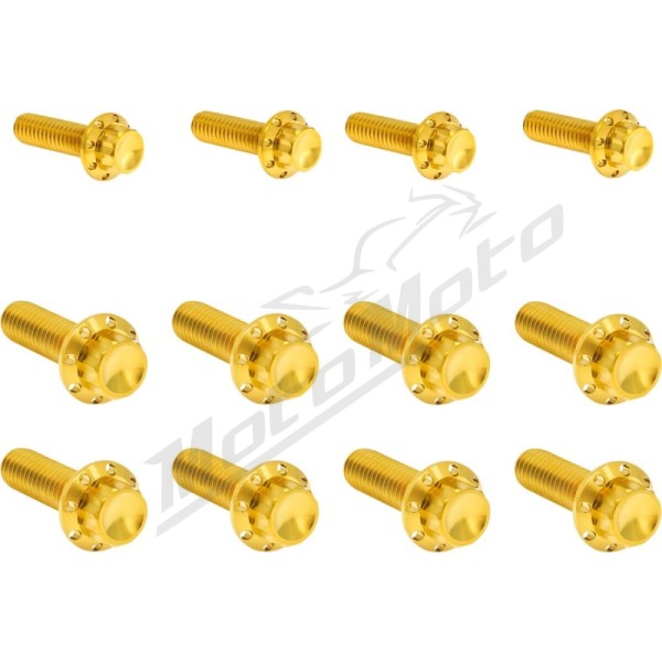 ARLEN NESS Transmission Side Cover & Trap Door Titanium 12-Point Bolt Kit 12pcs. M8