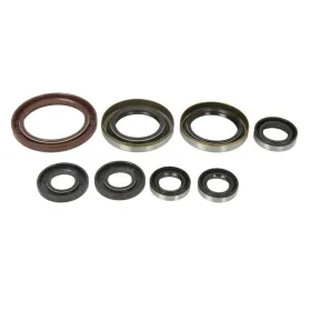 Winderosa Engine gaskets set (quantity per set 8 pcs) Husqvarna / KTM 250-350 12-16