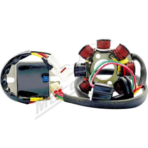 RICK'S MOTORSPORT ELECTRIC Lithium-Ion Compatible Charging Kit KTM XC-W 125-300cc 12-19