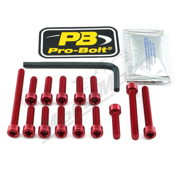 PRO BOLT Aluminium Engine Bolt Kit Kawasaki ZZR 1400 12-20
