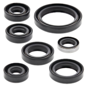 Winderosa (vertex) set of engine seals Honda TRX 250 01-21