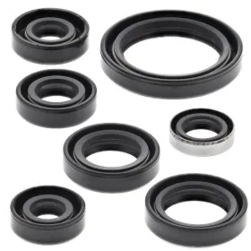 Winderosa (vertex) set of engine seals Honda TRX 250 01-21