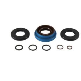 ALL BALLS Pavarų dėžės riebokšlių kompl. Polaris Ranger TM 700 04-06
