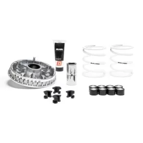 Variator kit MALOSSI Multivar Piaggio Beverly / MP3 / X10 350-400cc 4T 17-> (25x15,9)