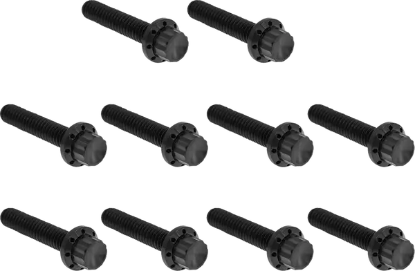 ARLEN NESS Cam Cover/Point Cover Titanium 12-Point Bolt Kit 12pcs. M8