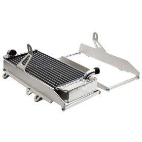 CROSS-PRO Aluminium Radiator guard Beta RR 250-500cc 2020-2024