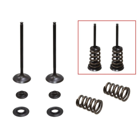 Psychic intake valves set KTM SX-F / EXC-F 250cc 05-07